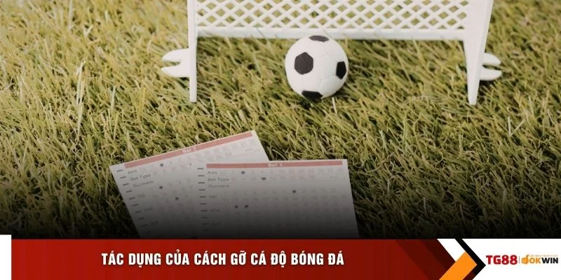 Tác dụng của cách gỡ cá độ bóng đá